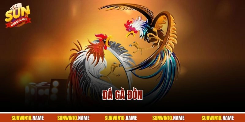 Đá Gà Đòn - Hình Thức Chọi Kê Hot Nhất Cổng Game Sunwin